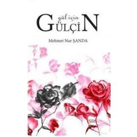 Gül İçin Gülçin - Mehmet Nur Şanda