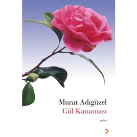 Gül Kanaması - Murat Adıgüzel