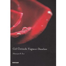 GÜL ÜSTÜNDE YAĞMUR DAMLASI - H. KERIM ECE