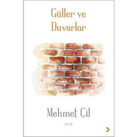 Güller ve Duvarlar - Mehmet Çil