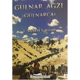 Gülnar Ağzı - F. Saadet Bilir