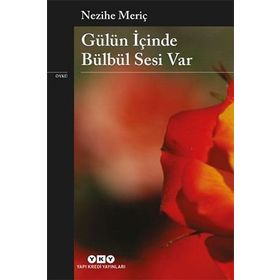 GÜLÜN İÇİNDE BÜLBÜL SESI VAR - NEZIHE MERİÇ
