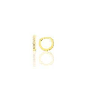 Gümüş Altın Yaldızlı 10 mm Halka Küpe Tragus Piercing Helix Kıkırdak Küpesi