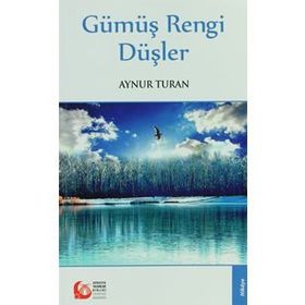 GÜMÜŞ RENGI DÜŞLER - AYNUR TURAN