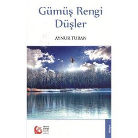GÜMÜŞ RENGI DÜŞLER - AYNUR TURAN
