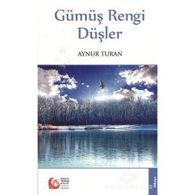 GÜMÜŞ RENGI DÜŞLER - AYNUR TURAN