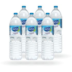 Gümüş Su 1.5LT SU