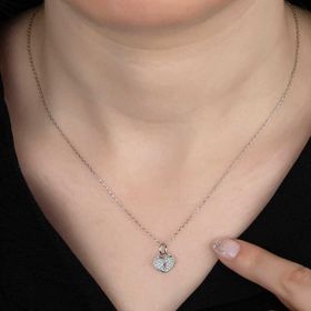 Gumush Swarovski Taşlı Kalp Kiliti Gümüş Kolye