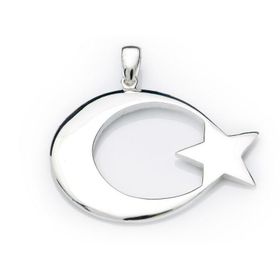 Gumush T4671 Gümüş Ay Yıldız Bayan Kolye