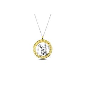 Gumush T4932 gümüş Gold Kova Burcu Kolye