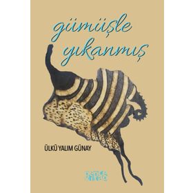 Gümüşle Yıkanmış - Ülkü Yalım Günay