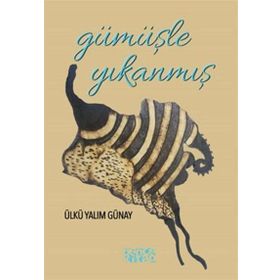 Gümüşle Yıkanmış - Ülkü Yalım Günay