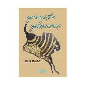 Gümüşle Yıkanmış - Ülkü Yalım Günay