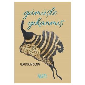 Gümüşle Yıkanmış - Ülkü Yalım Günay
