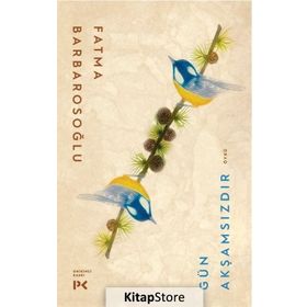 GÜN AKŞAMSIZDIR - FATMA KARABIYIK BARBAROSOĞLU