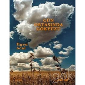 Gün Ortasında Gökyüzü - Figen Öcal