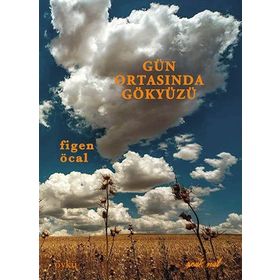Gün Ortasında Gökyüzü - Figen Öcal