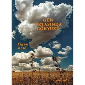 Gün Ortasında Gökyüzü - Figen Öcal