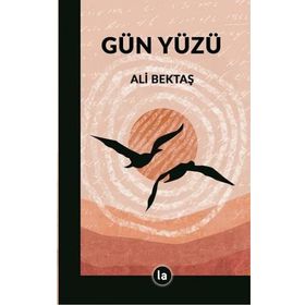 Gün Yüzü - Ali Bektaş