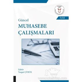 Güncel Muhasebe Çalışmaları - Kolektif