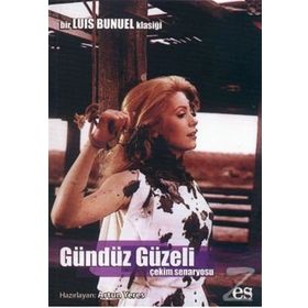 GÜNDÜZ GÜZELİ ÇEKİM SENARYOSU - ARTUN YERES
