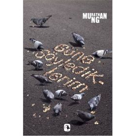 Güne Söylediklerim - Murathan Mungan