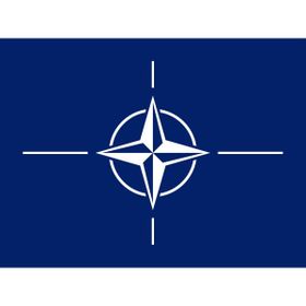Güneş Avm 70x105 cm Nato Bayrağı