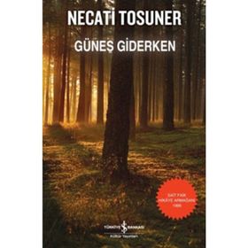 GÜNEŞ GIDERKEN - NECATI TOSUNER