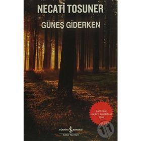 GÜNEŞ GIDERKEN - NECATI TOSUNER