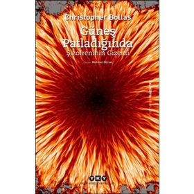 Güneş Patladığında - Christopher Bollas