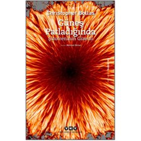 Güneş Patladığında Şizofrenin Gizemi - Christopher Bollas