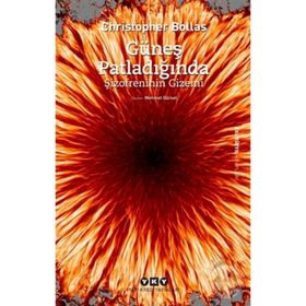 Güneş Patladığında Şizofrenin Gizemi - Christopher Bollas