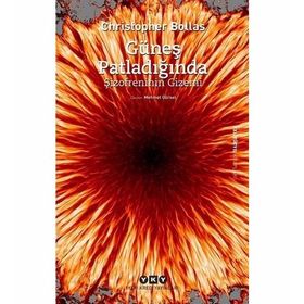Güneş Patladığında Şizofrenin Gizemi - Christopher Bollas
