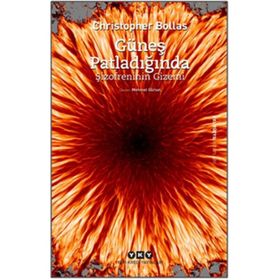Güneş Patladığında Şizofrenin Gizemi - Christopher Bollas