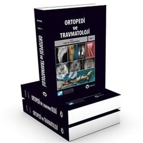 Güneş Tıp Kitabevi Ortopedi ve Travmatoloji 3 Cilt Kemik ve Eklem Cerrahisi Derneği