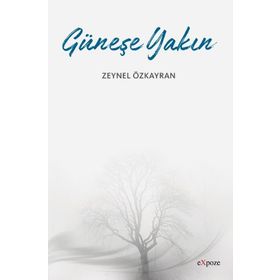 Güneşe Yakın - Zeynel Özkayran