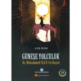 GÜNEŞE YOLCULUK - AYŞE SEVIM