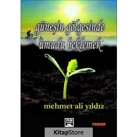 Güneşin Gölgesinde Umudu Beklemek - Mehmet Ali Yıldız