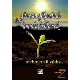 Güneşin Gölgesinde Umudu Beklemek - Mehmet Ali Yıldız