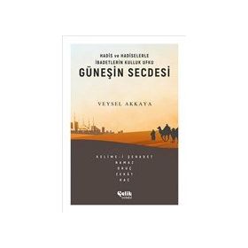 Güneşin Secdesi -Veysel Akkaya