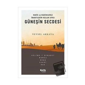 Güneşin Secdesi -Veysel Akkaya