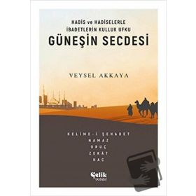 Güneşin Secdesi -Veysel Akkaya