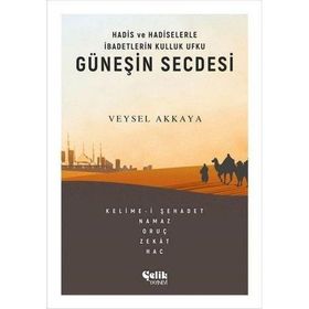 Güneşin Secdesi -Veysel Akkaya