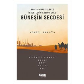 Güneşin Secdesi -Veysel Akkaya
