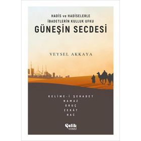 Güneşin Secdesi -Veysel Akkaya