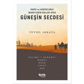 Güneşin Secdesi -Veysel Akkaya