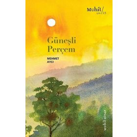 Güneşli Perçem - Mehmet Aycı