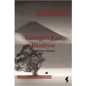 Güneşten Kan Damlıyor - Neriman Aşkın Tekin
