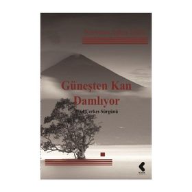 Güneşten Kan Damlıyor - Neriman Aşkın Tekin