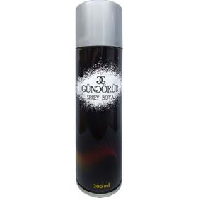 Güngörür Gri 200 ml Sprey Boya